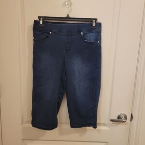 Gloria Vanderbilt Navy Blue Capri Jeans